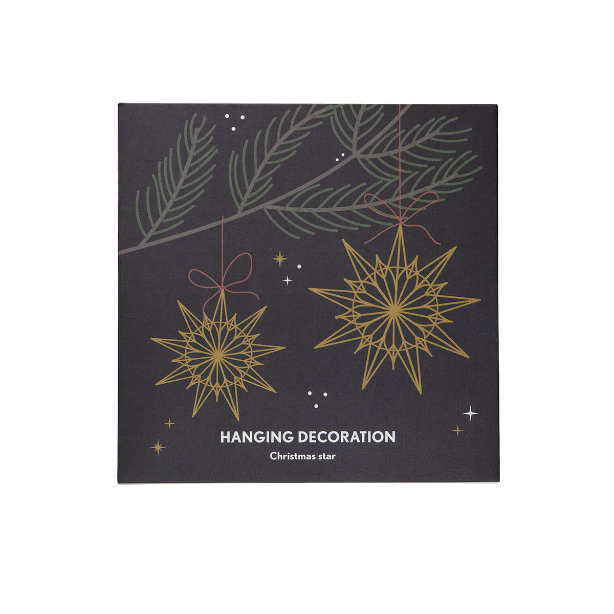 Pluto Design プルート・デザイン ハンギングメタルデコレーション ( クリスマススター )