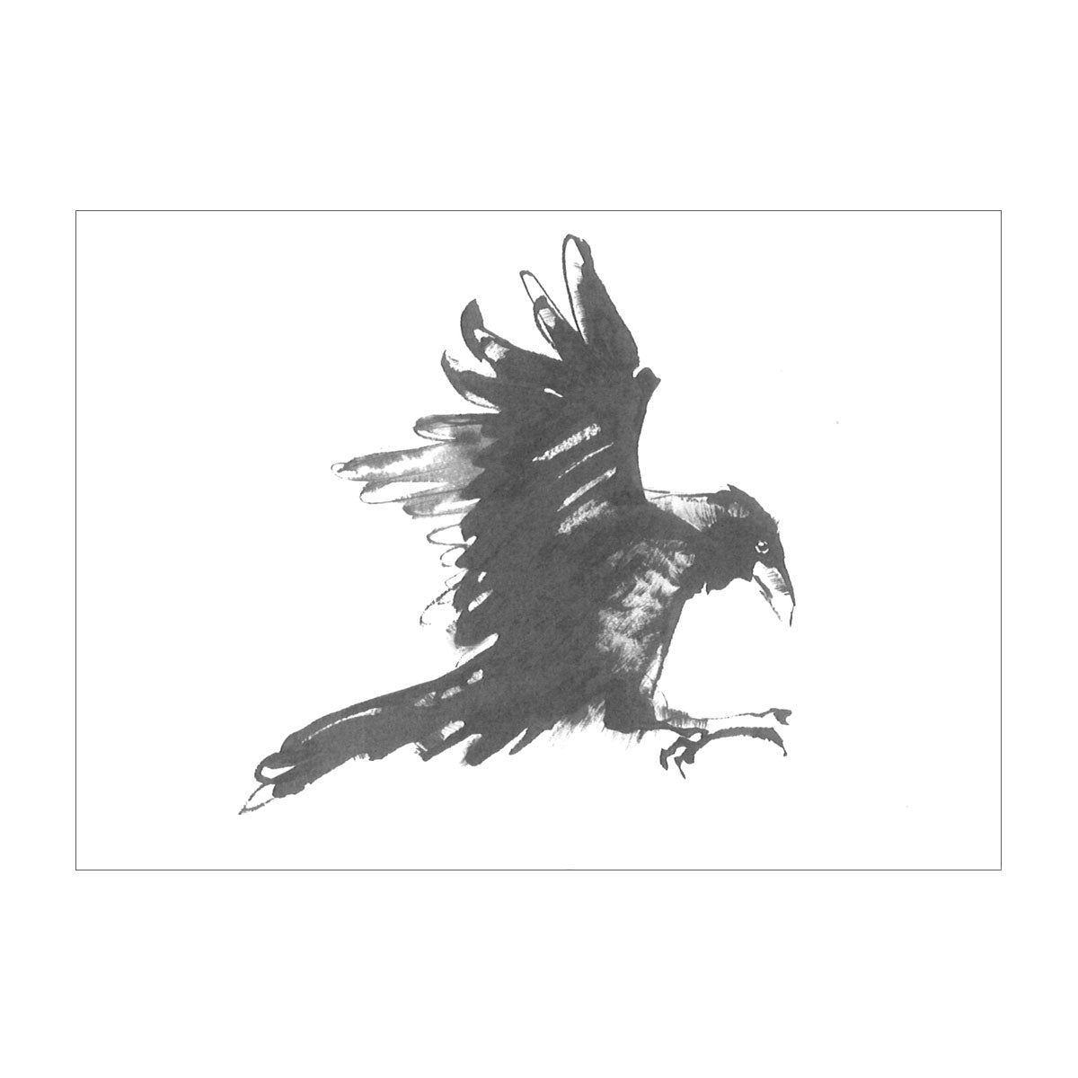Teemu Jarvi テーム・ヤルヴィ ポストカード A6 ( Raven / ワタリガラス )