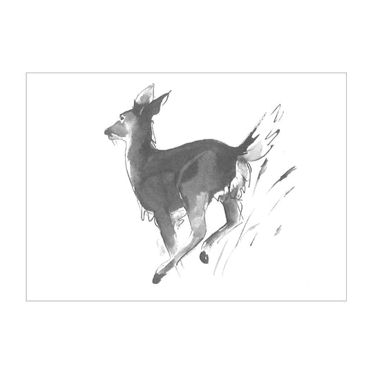 Teemu Jarvi テーム・ヤルヴィ ポストカード A6 ( White Tailed / オジロジカ )