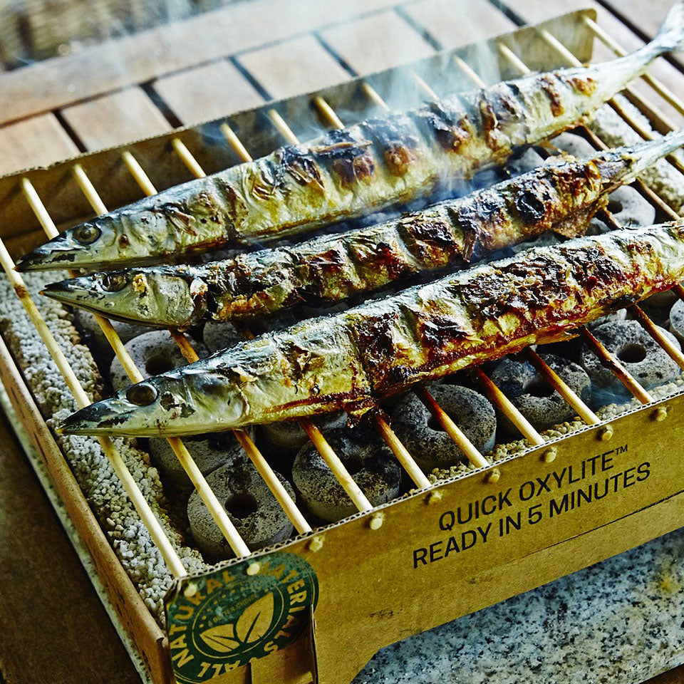 CASUSGRILL クラフトグリル 使い切りBBQグリル
